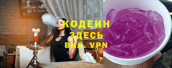 молекула духа Вяземский
