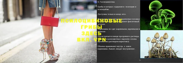 дурь Горнозаводск