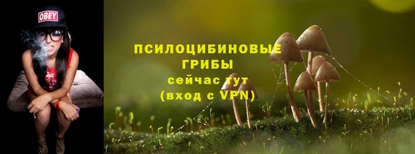 винт Горно-Алтайск
