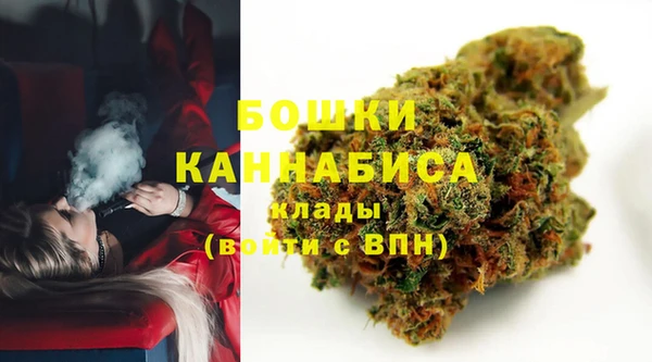 молекула духа Вяземский