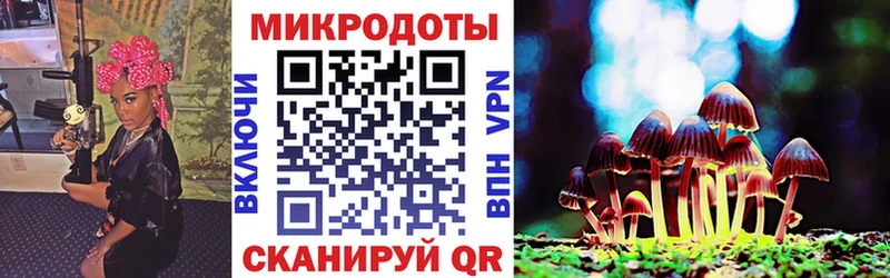 Псилоцибиновые грибы GOLDEN TEACHER  Купить закладки  Няндома 